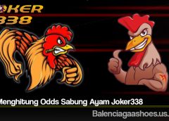 Tips Menghitung Odds Sabung Ayam Joker338